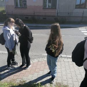 6e5e99ab-ac85-4b25-b278-54afabe09a4a.jpeg
