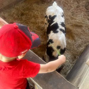 018dedfc-c2e3-4cf9-8a65-6deb1ec7cd0b.jpeg