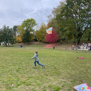 65f5ad1e-421b-4ce3-8bcf-ae26613106d2.jpeg