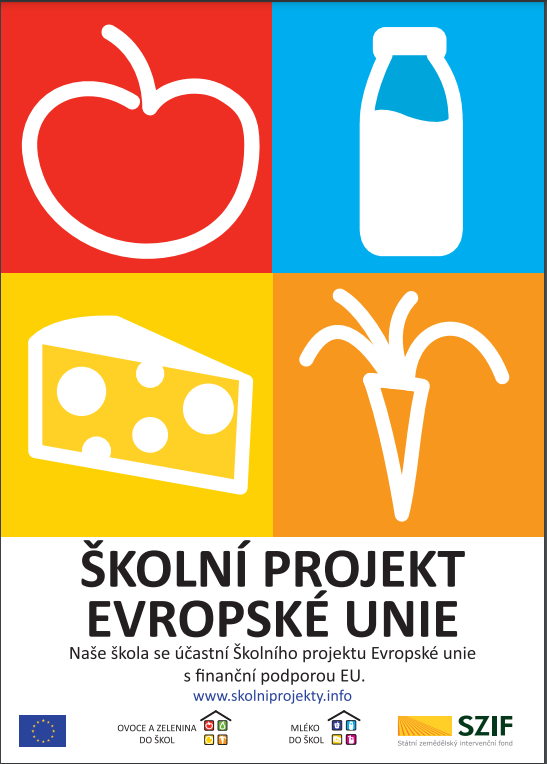 Plakát školní projekt evropská unie